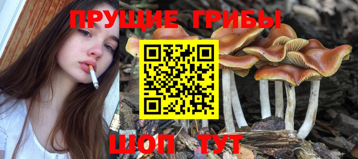 Псилоцибиновые грибы мицелий  Вход с VPN  Бахчисарай 